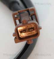 6004857