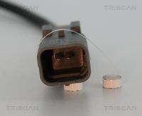 6004891