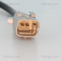 6004906
