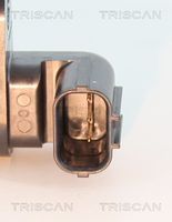 6005638