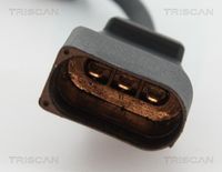 6005667