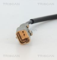 6009355